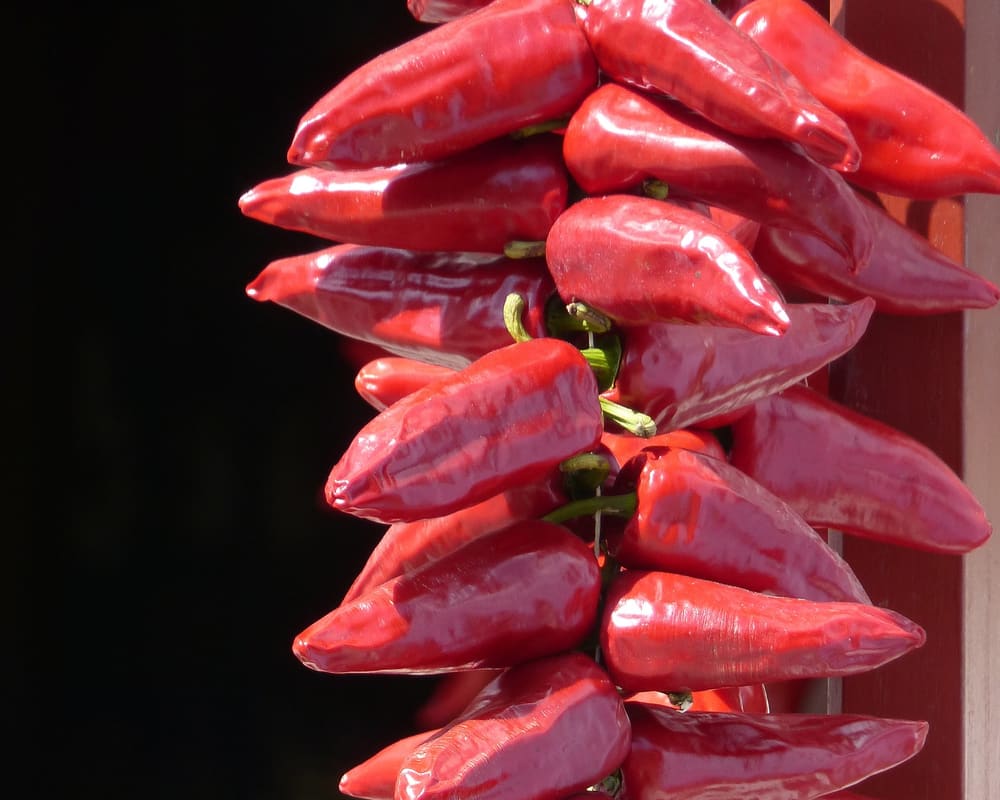 Red peppers hanging in the Basque Country